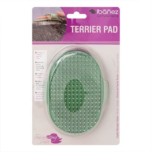 Ibañez Terrieri harja