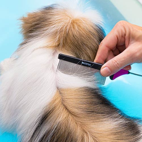 Ibañez styling comb